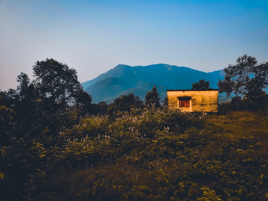 Производство и строительство домов из клееного бруса под ключ