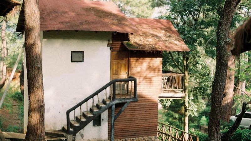 Строительство домов из клееного бруса