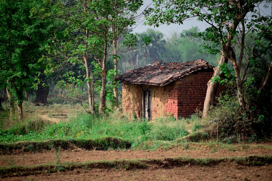 Строительство дачных домов из клееного бруса