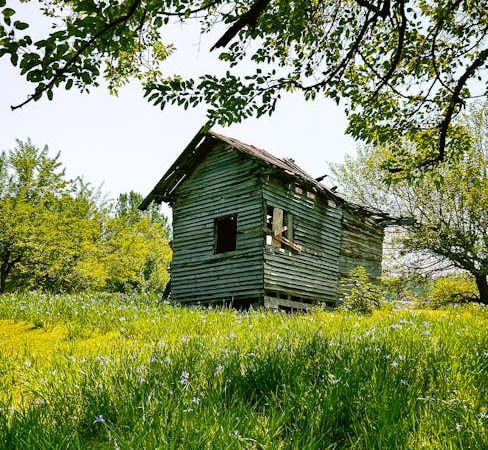 Производство и строительство домов из клееного бруса