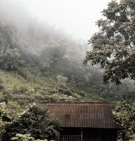 Строительство домов из бруса под ключ в Екатеринбурге