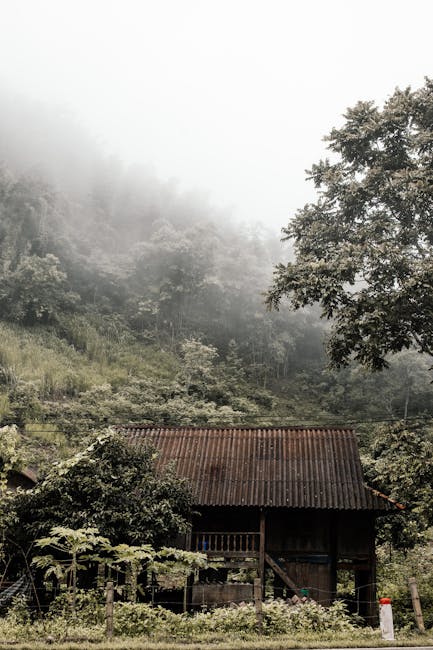 Строительство домов из бруса под ключ в Екатеринбурге