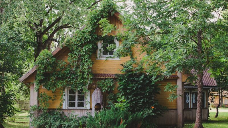 Строительство домов из бруса под ключ