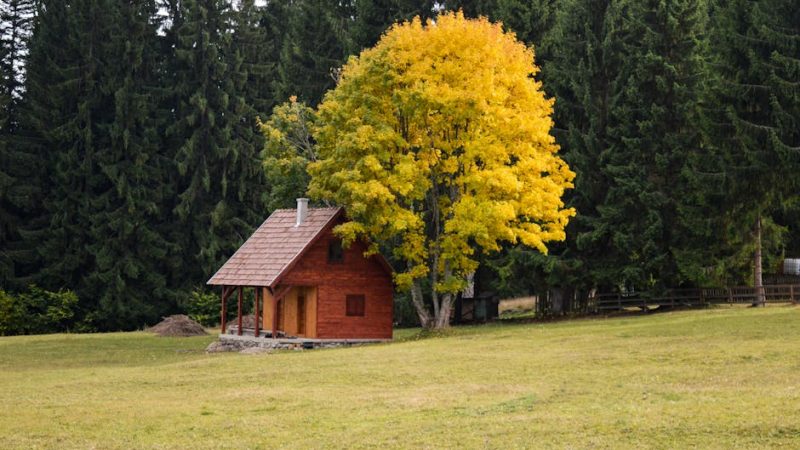 Производство и строительство домов из клееного бруса под ключ