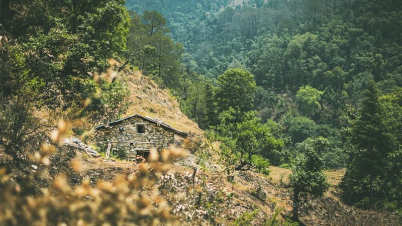 Строительство домов и бань из клееного бруса и оцилиндрованного бревна