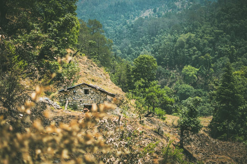 Строительство домов и бань из клееного бруса и оцилиндрованного бревна