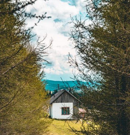 Строительство домов из профилированного бруса