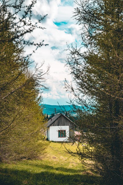 Строительство домов из профилированного бруса