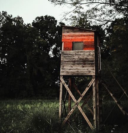 Строительство домов из бруса в Екатеринбурге