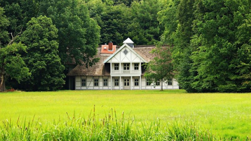 Производство и строительство домов из клееного бруса под ключ