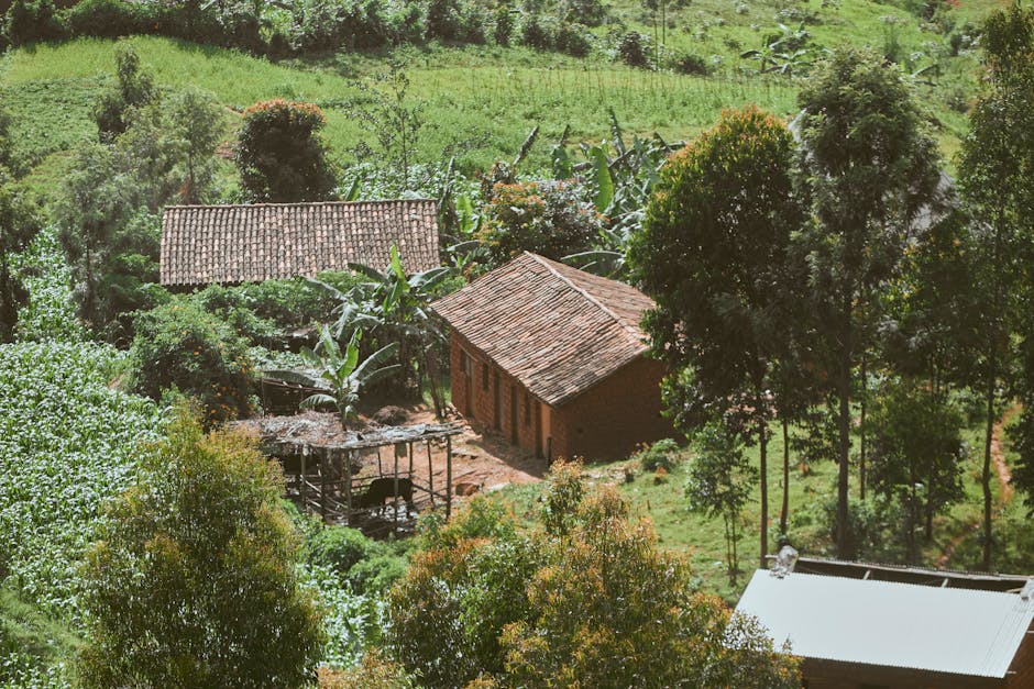 Дома из клееного бруса от производителя в Екатеринбурге