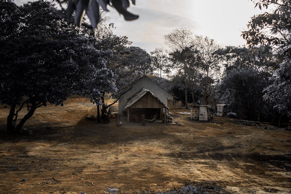 Строительство домов и бань из бруса под ключ в Екатеринбурге