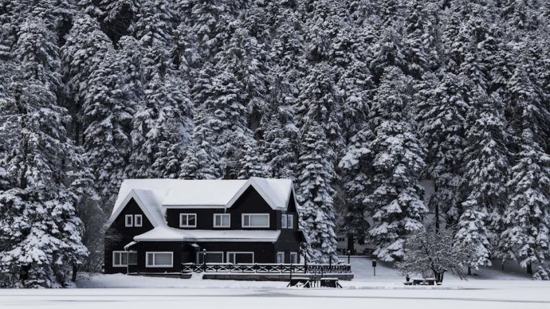 Строительство домов из бруса под ключ