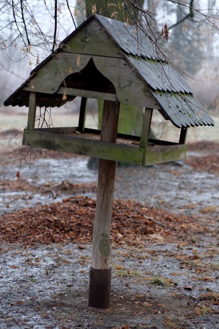 Строительство домов из бруса в Екатеринбурге