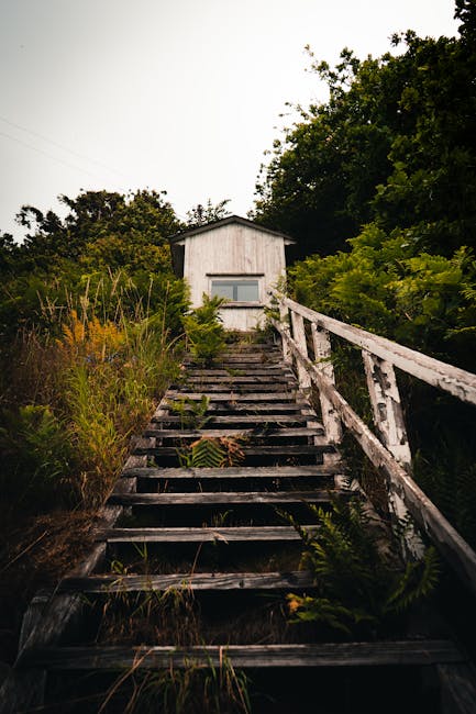 Преимущества и особенности строительства домов из клееного бруса