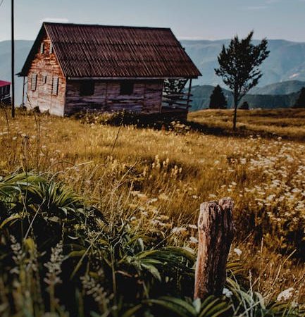 Строительство домов из клееного бруса