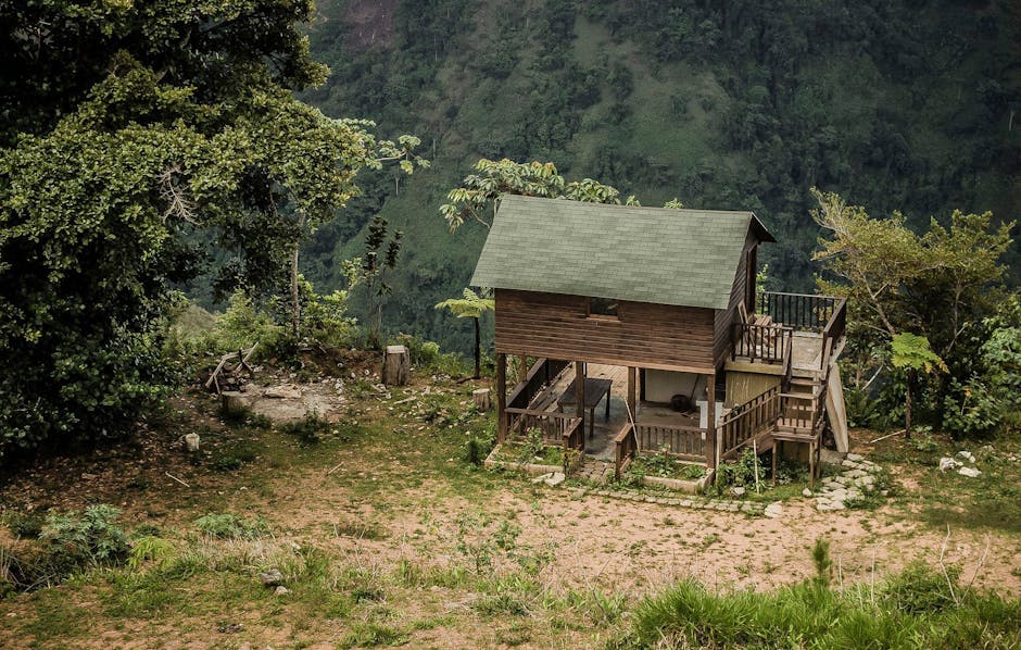 Строительство деревянных домов и бань из клееного бруса и оцилиндрованного бревна
