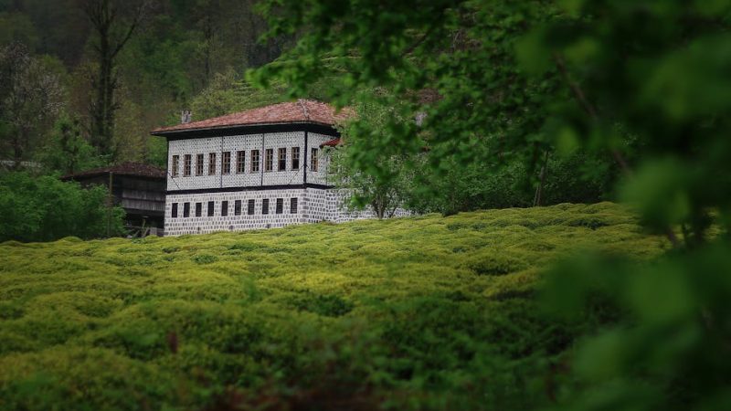 Производство и строительство домов из клееного бруса