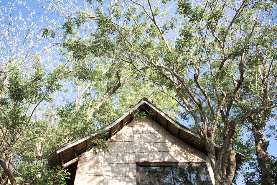 Строительство домов из клееного бруса под ключ в Екатеринбурге