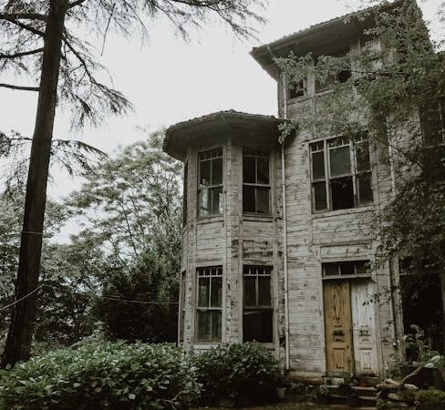 Строительство домов из бруса под ключ