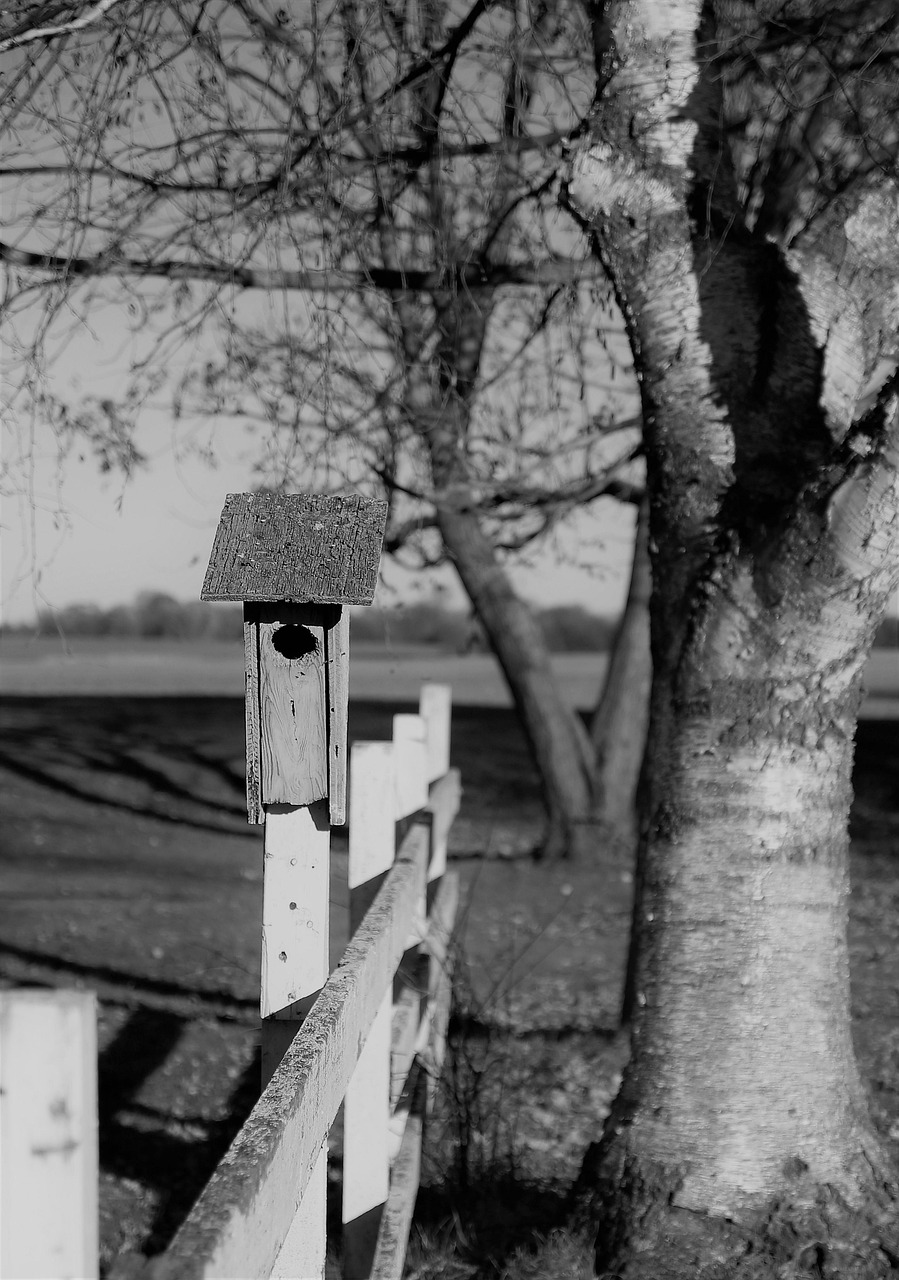 Строительство домов из клееного бруса