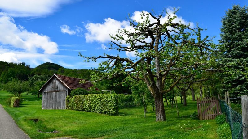 Строительство бань и домов из клееного бруса