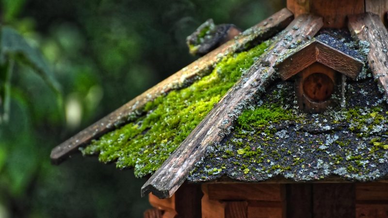 Строительство домов из клееного бруса