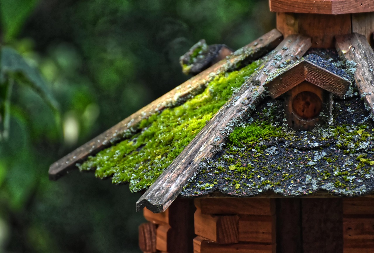 Строительство домов из клееного бруса