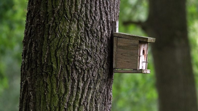 Строительство домов из клееного бруса под ключ