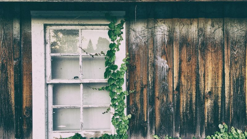 Строительство домов из бруса под ключ в Екатеринбурге