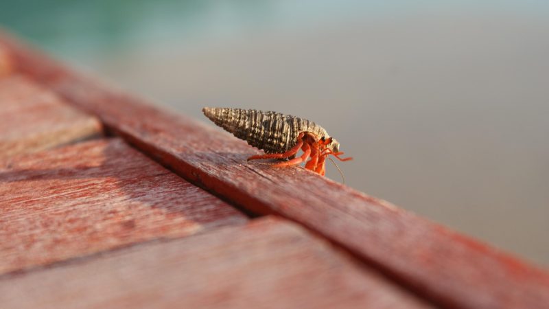 Строительство домов из клееного бруса под ключ в Екатеринбурге