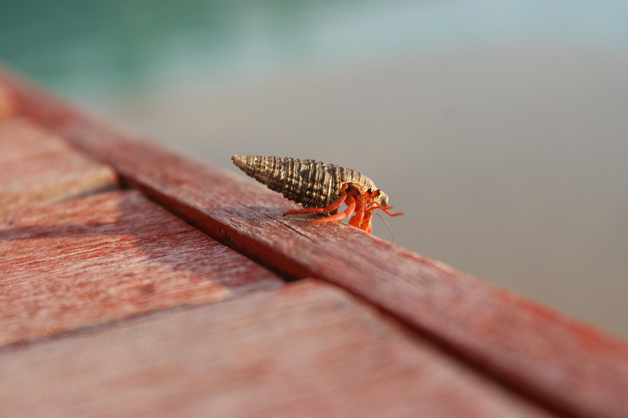 Строительство домов из клееного бруса под ключ в Екатеринбурге