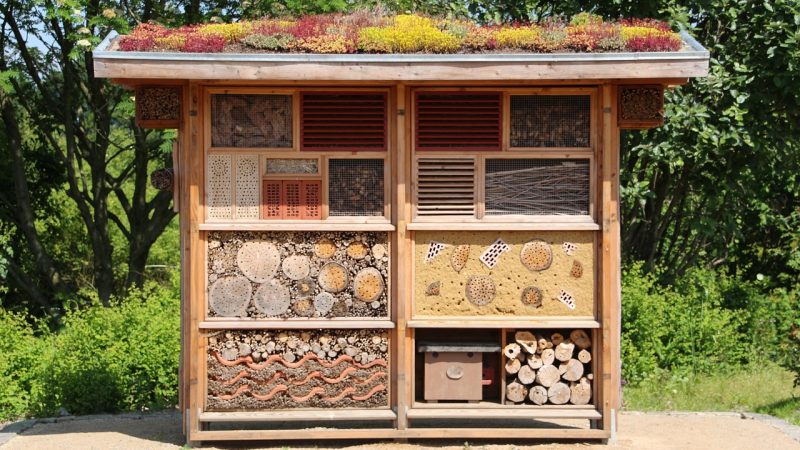 Преимущества и особенности строительства домов из клееного бруса