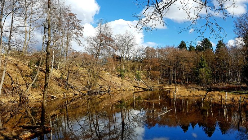 Строительство домов из клееного бруса под ключ