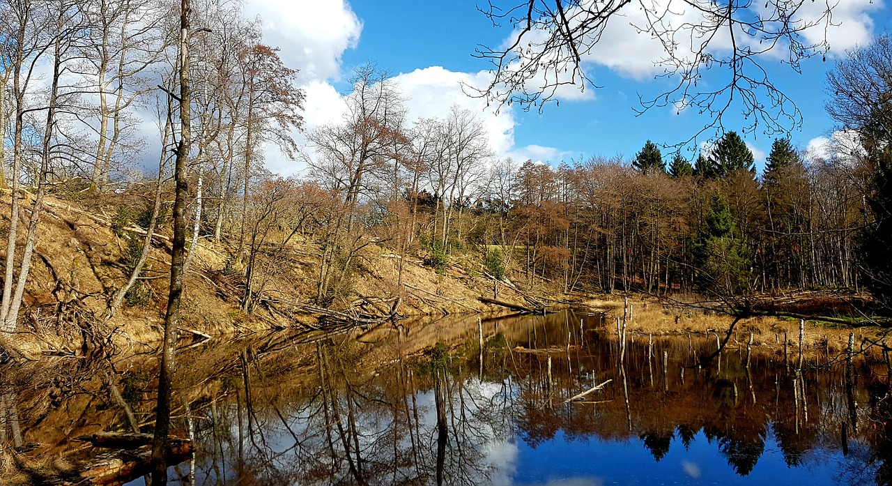 Строительство домов из клееного бруса под ключ