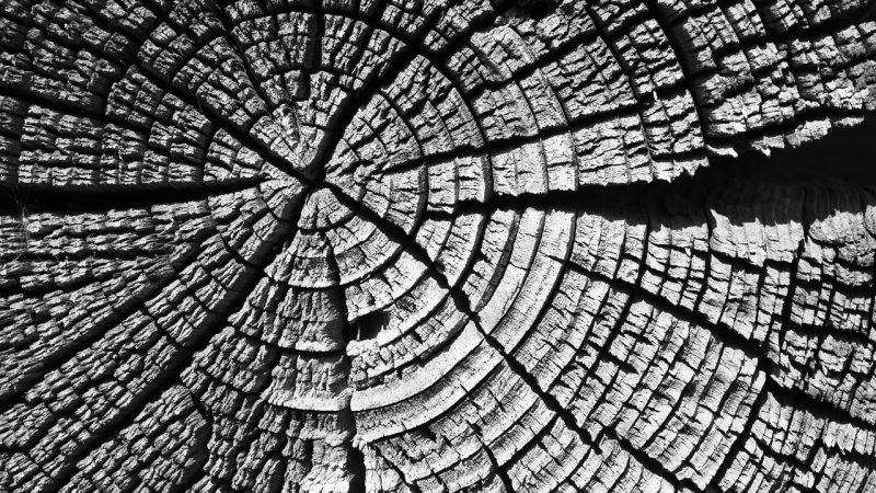 Строительство домов из клееного бруса в Екатеринбурге под ключ