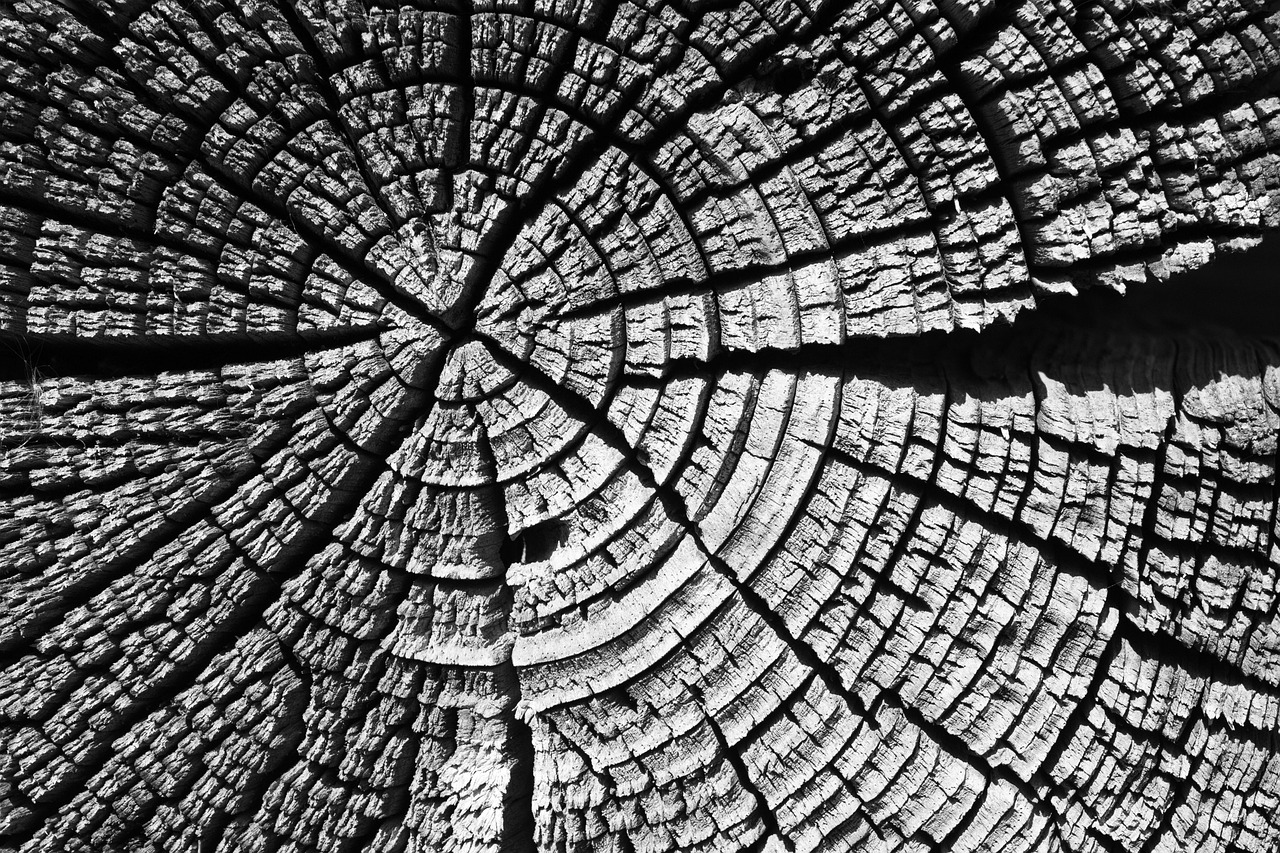 Строительство домов из клееного бруса в Екатеринбурге под ключ