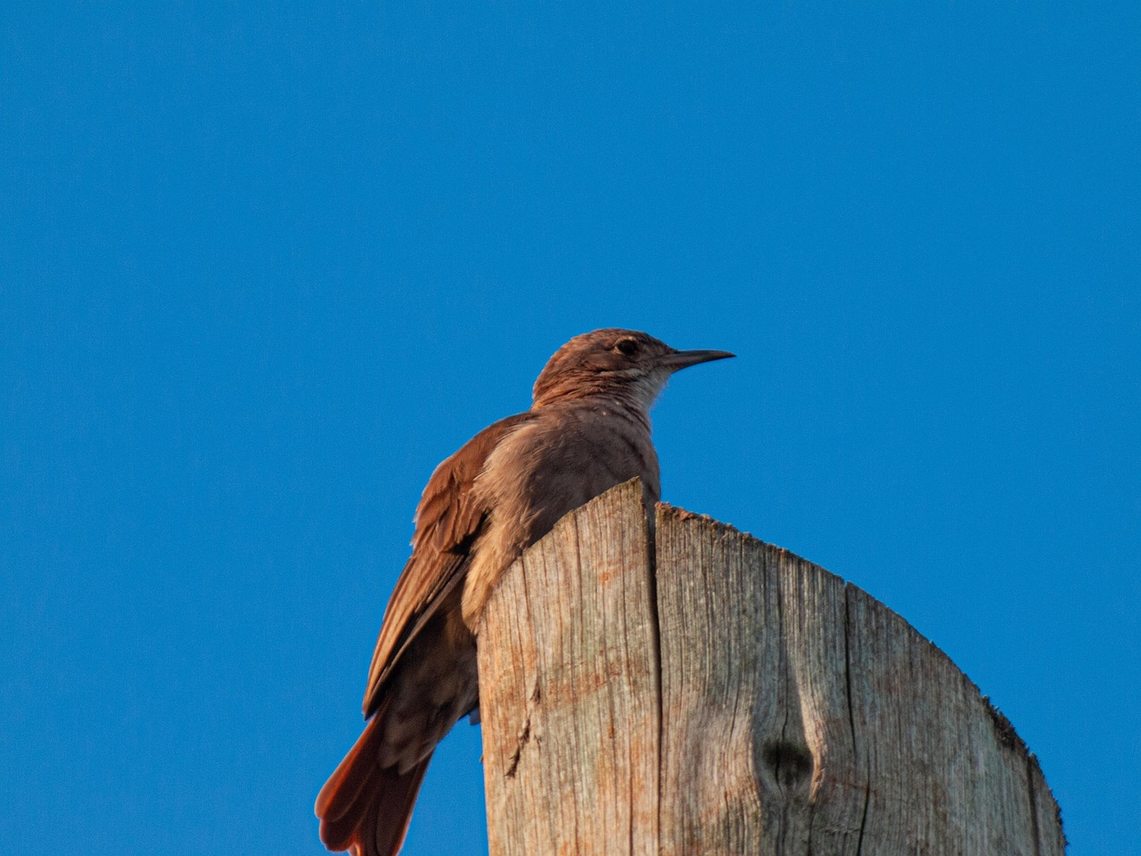 Дома из клееного бруса в Екатеринбурге