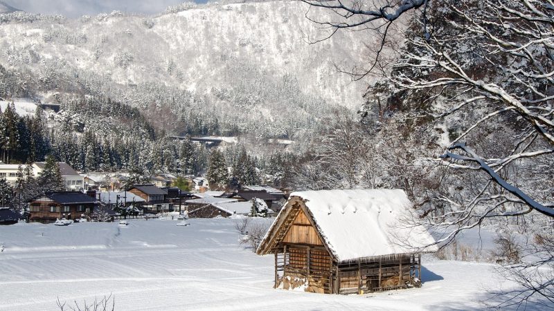 Проекты и строительство домов из клееного бруса под ключ