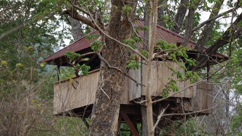 Дома из клееного бруса в Екатеринбурге