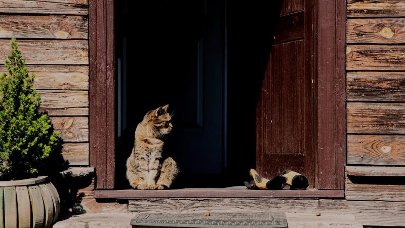 Строительство домов из клееного бруса под ключ в Екатеринбурге