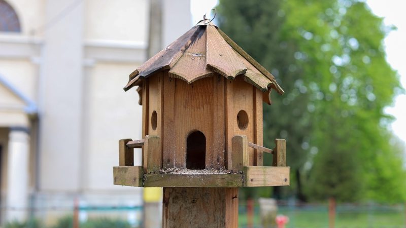 Строительство домов из клееного бруса