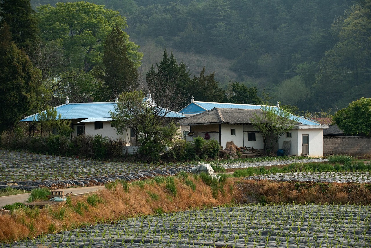 Строительство домов из клееного бруса под ключ в Екатеринбурге