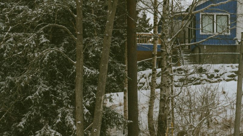 Строительство домов и бань из клееного бруса и оцилиндрованного бревна в Екатеринбурге