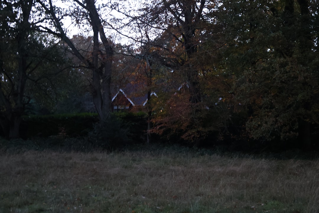 Строительство бань из клееного бруса под ключ в Екатеринбурге