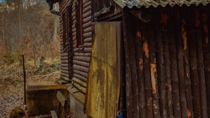 Строительство деревянных домов в Екатеринбурге