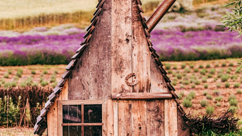 Строительство деревянных домов из бруса под ключ