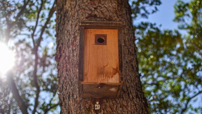 Преимущества и цены бруса в Екатеринбурге для строительства домов и бань