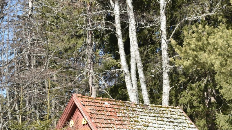 Строительство домов из клееного бруса