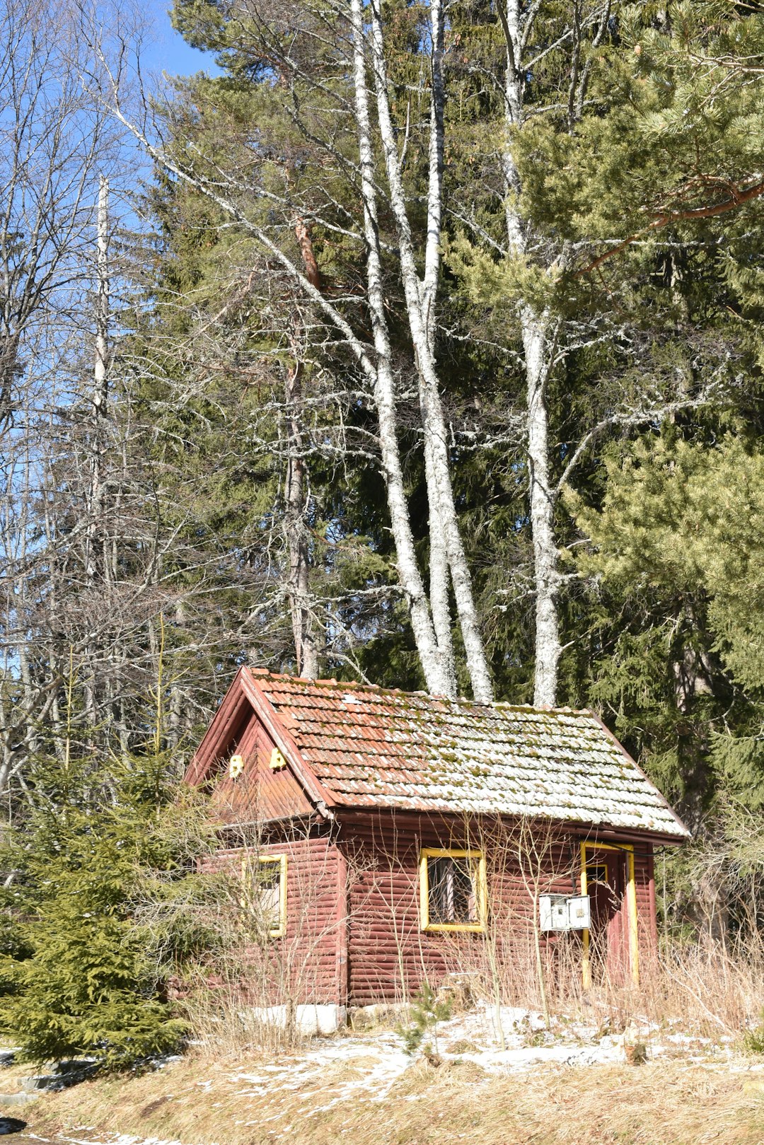 Строительство домов из клееного бруса